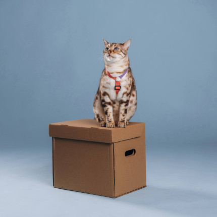 Таможенный брокер