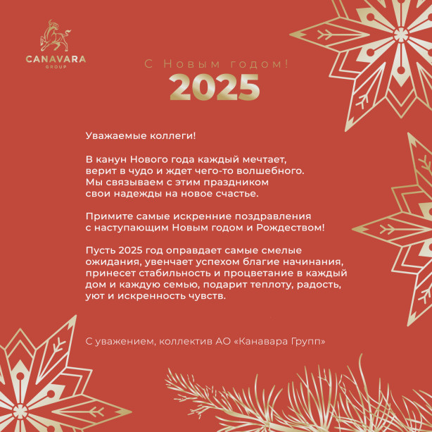 С Новым 2025 годом!